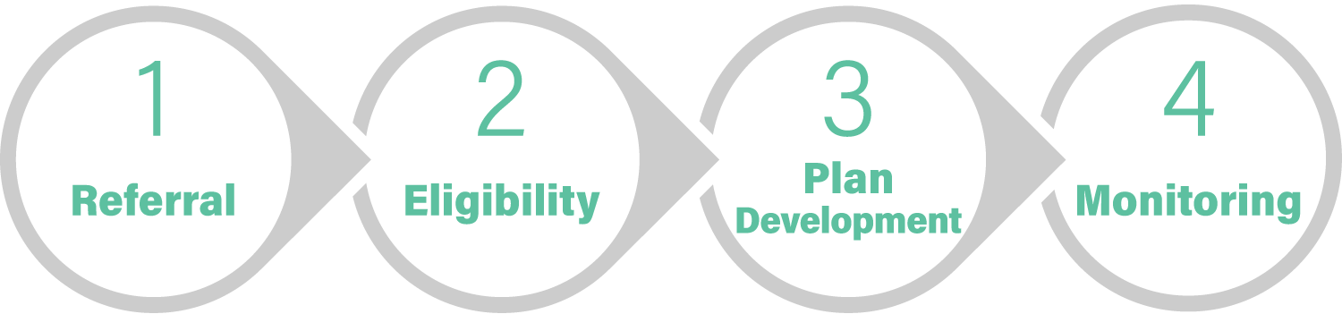 The Section 504 Process