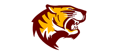Briscoe MS logo