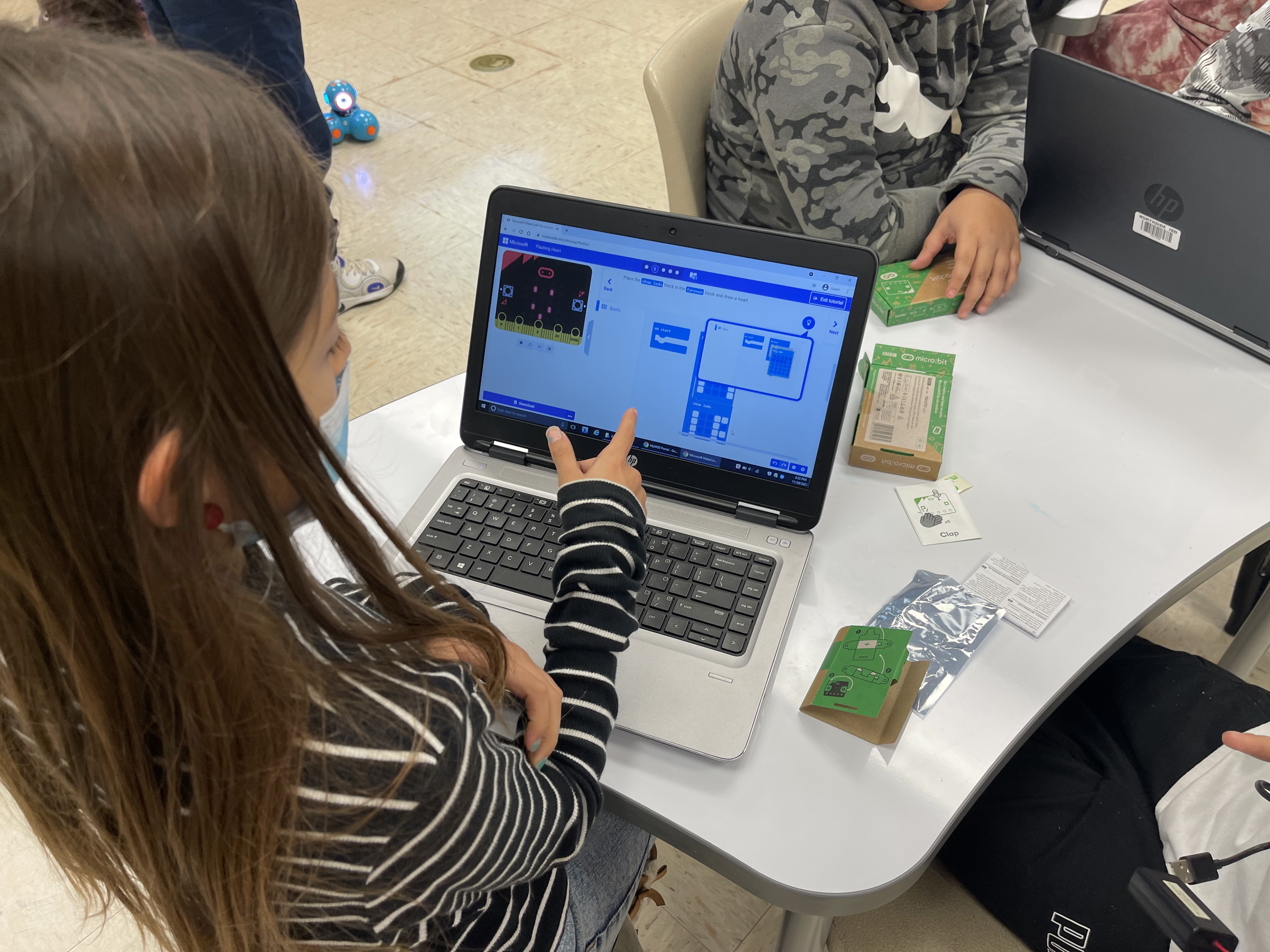 Image of project done in stem