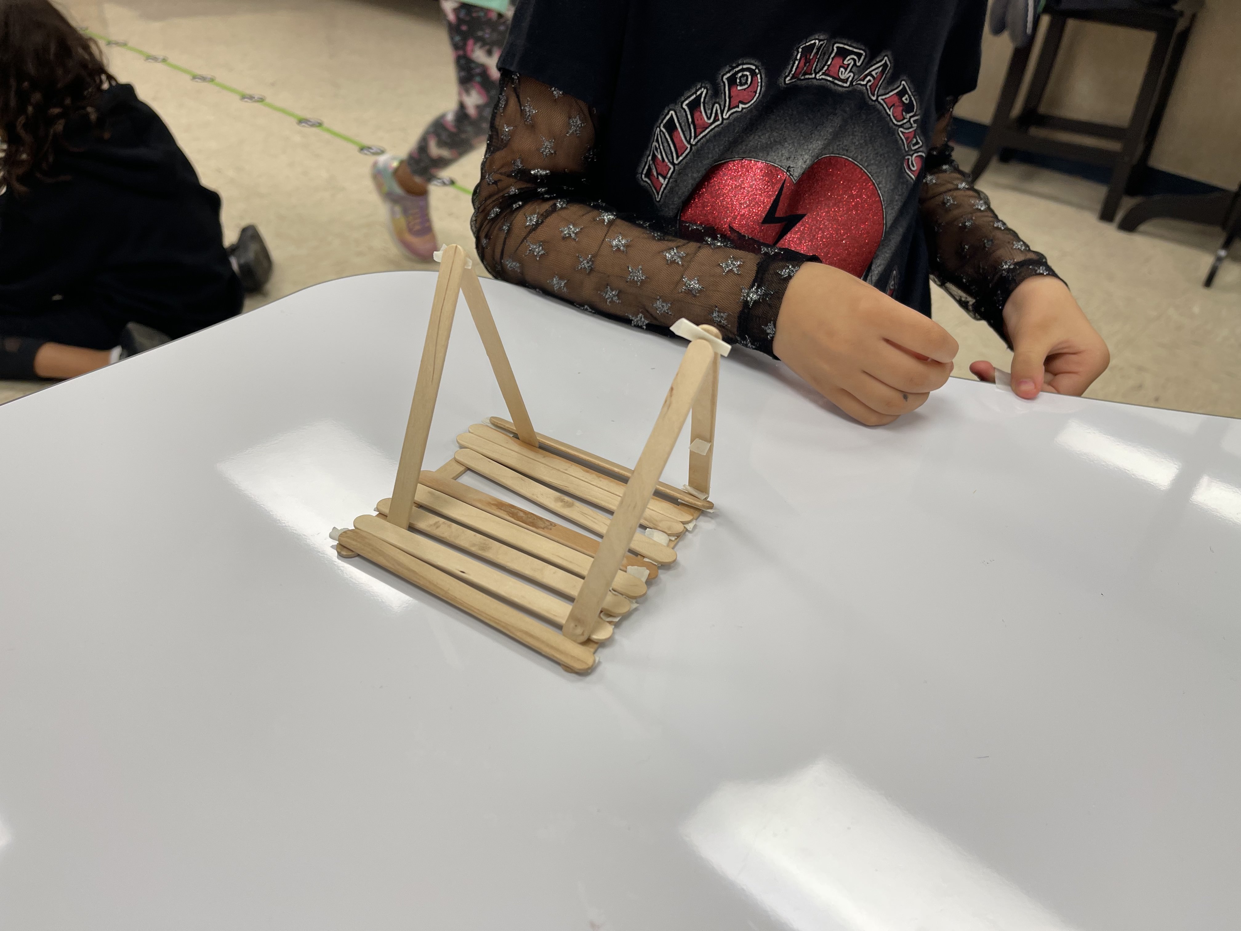 Image of project done in stem