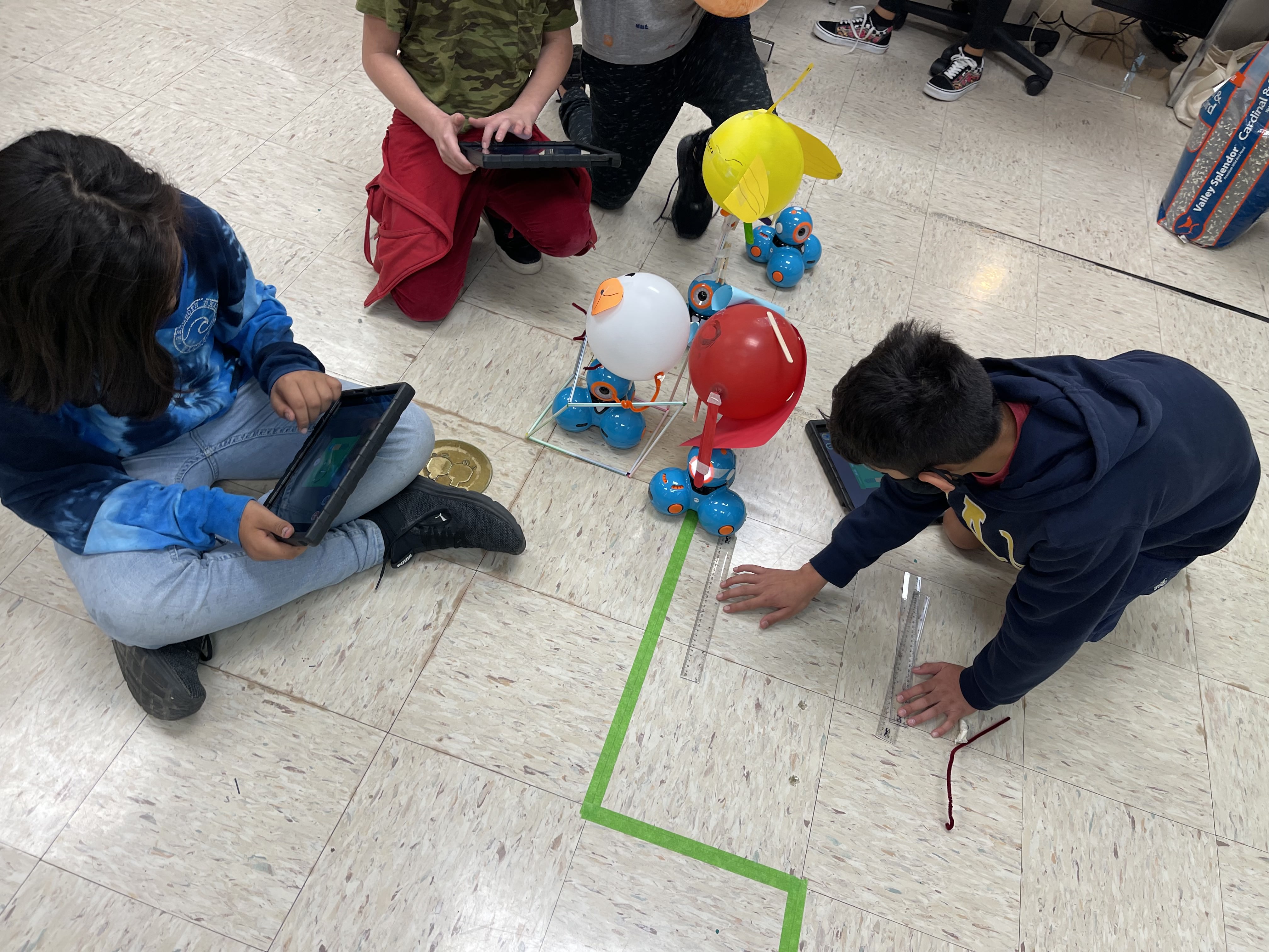 Image of project done in stem