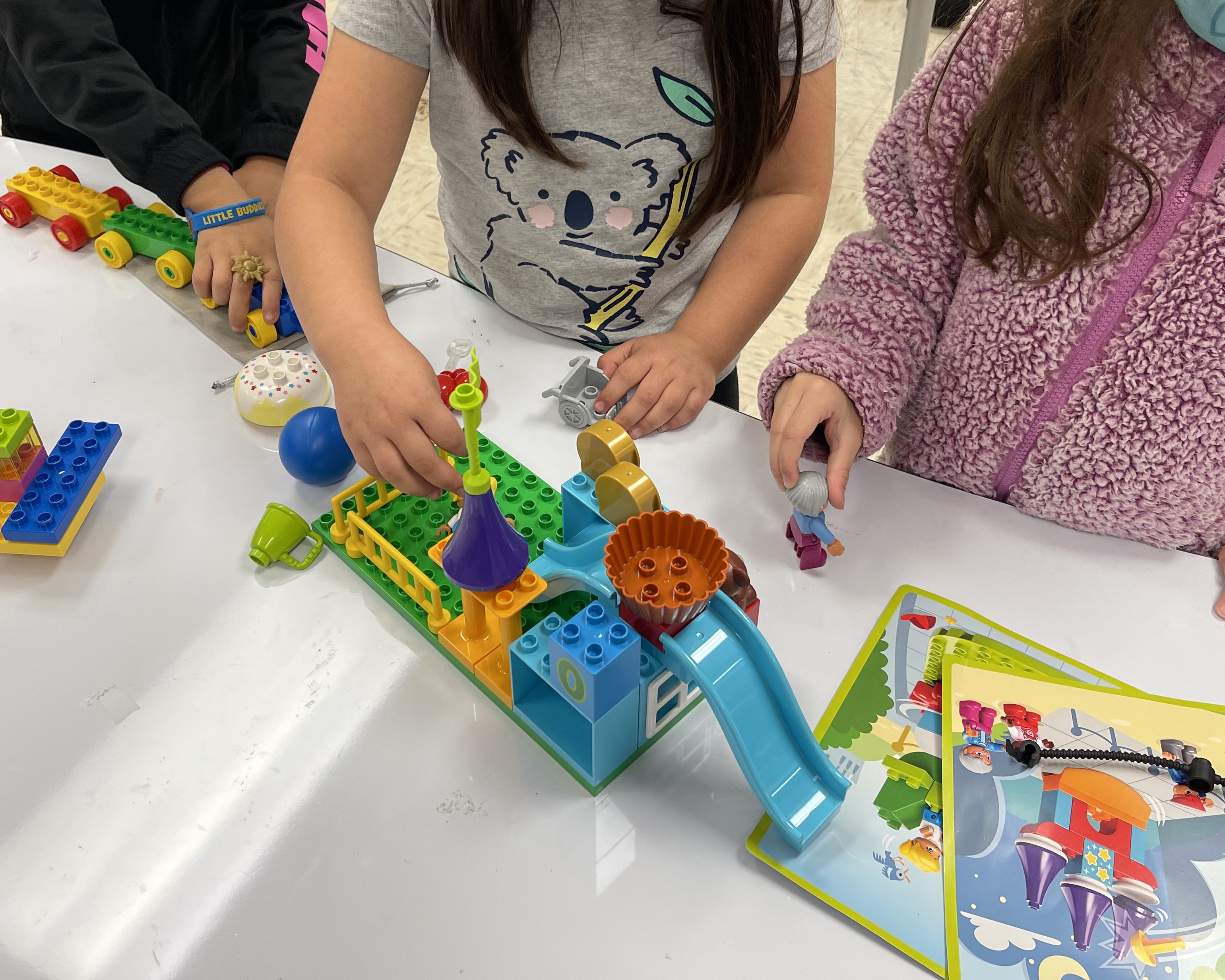 Image of project done in stem