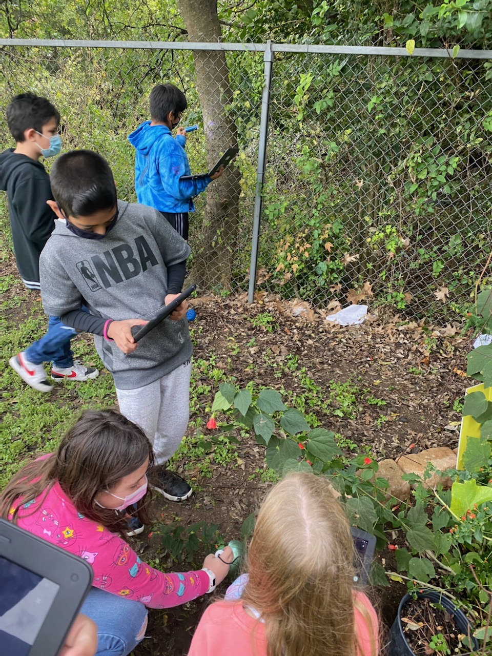 Students looking at different types of plants. 