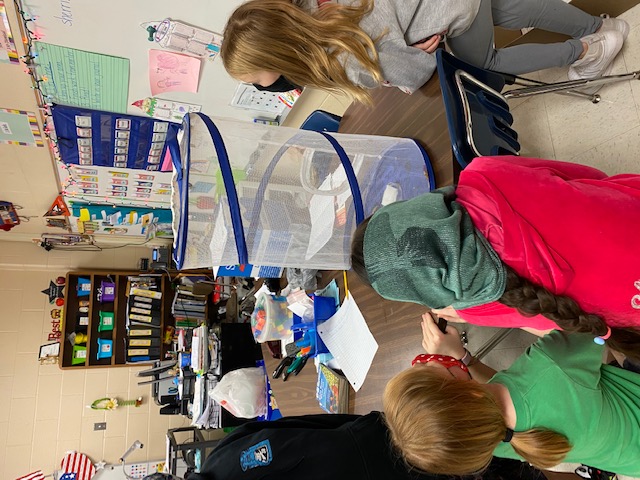 Students looking at an insect in a cage. 