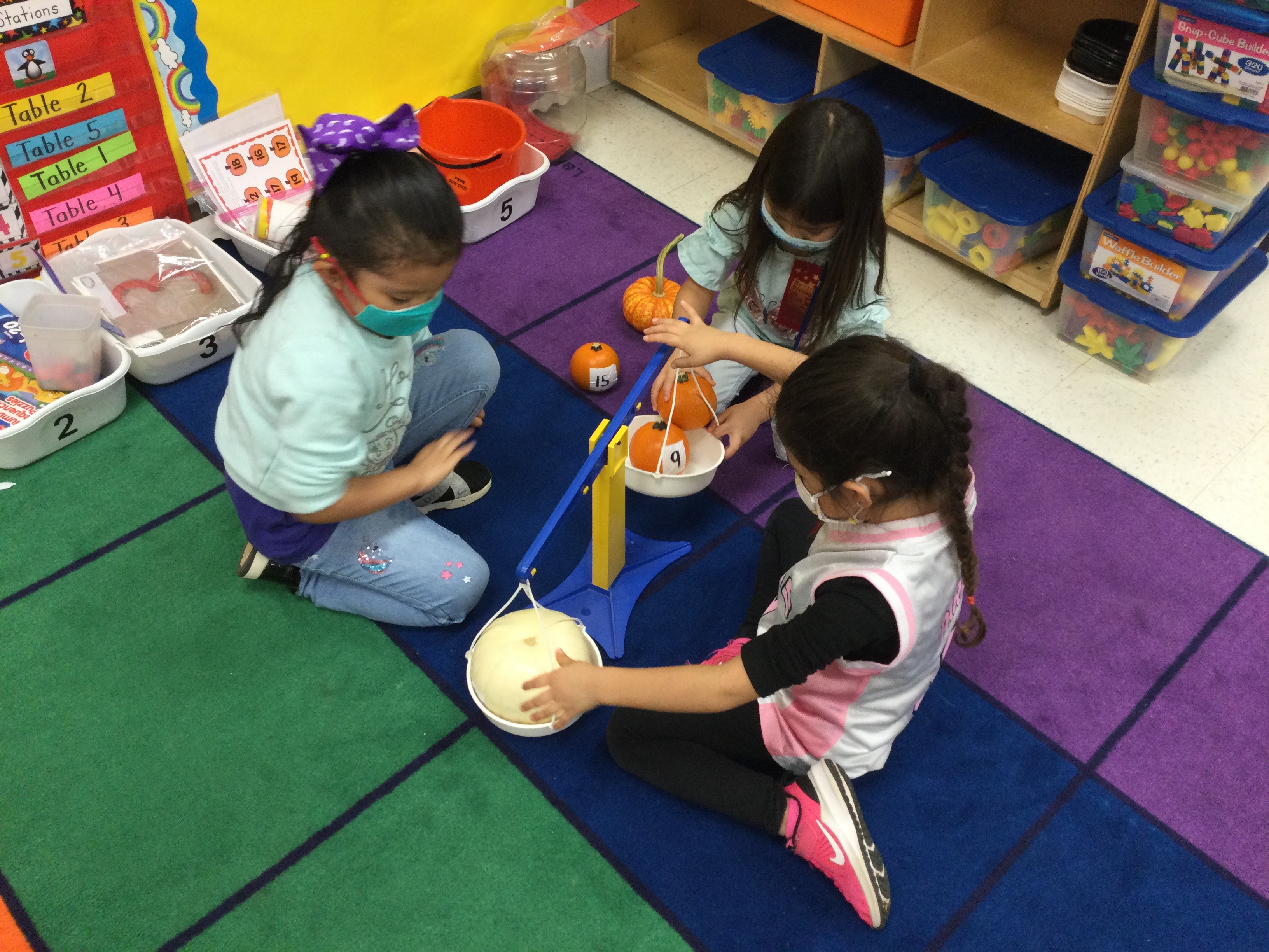 Students weighing objects