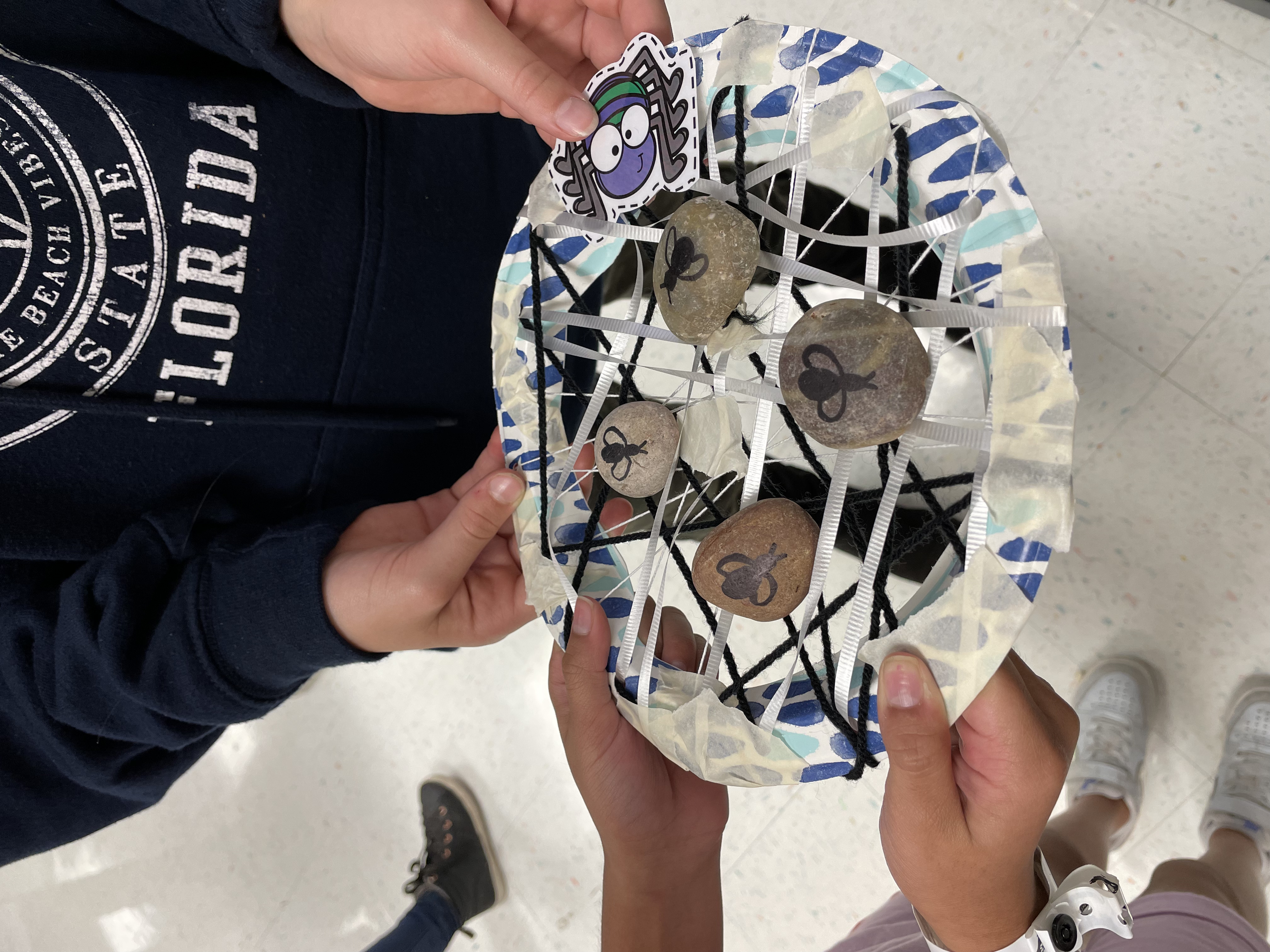 STEM project