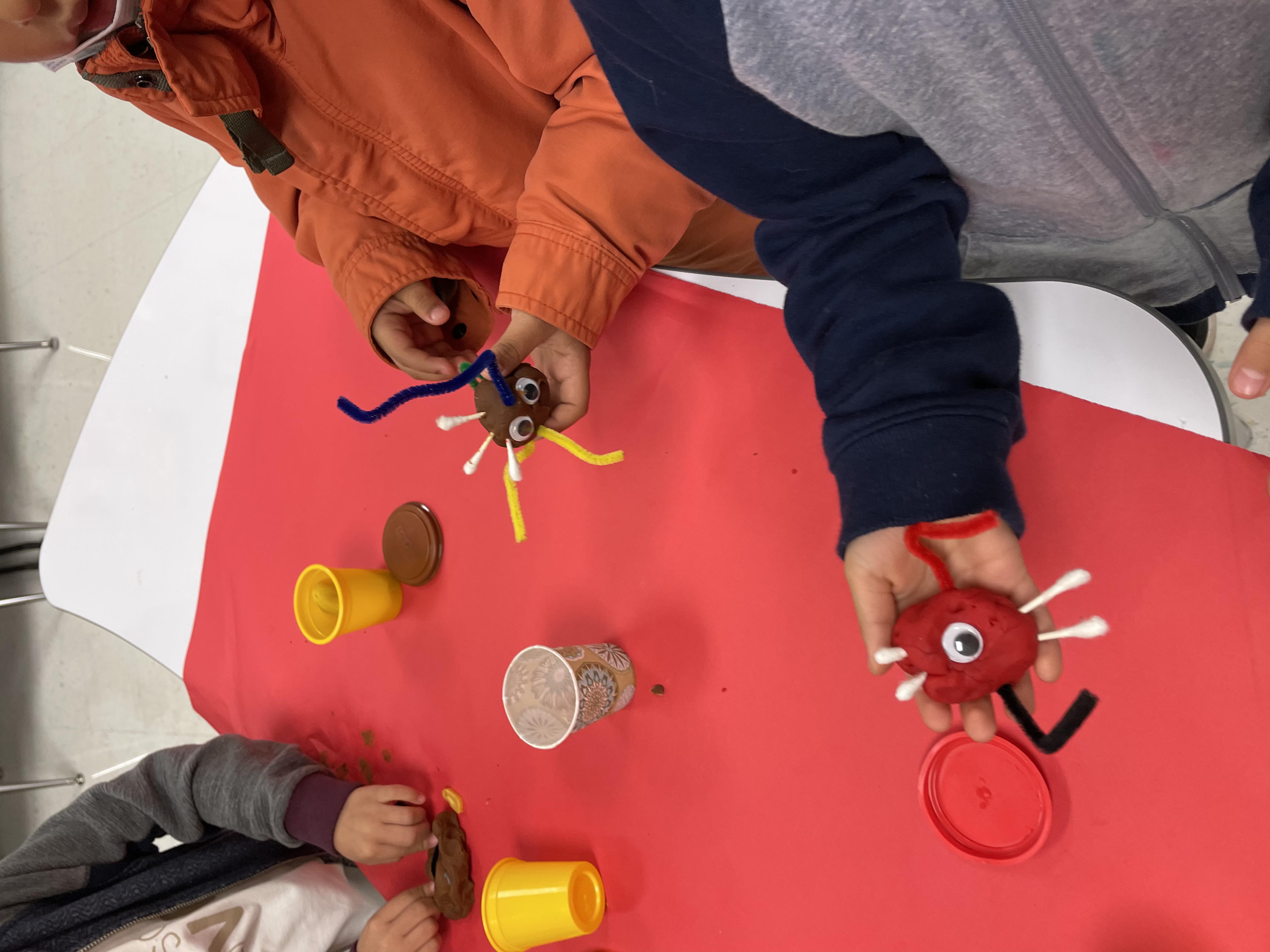 STEM project