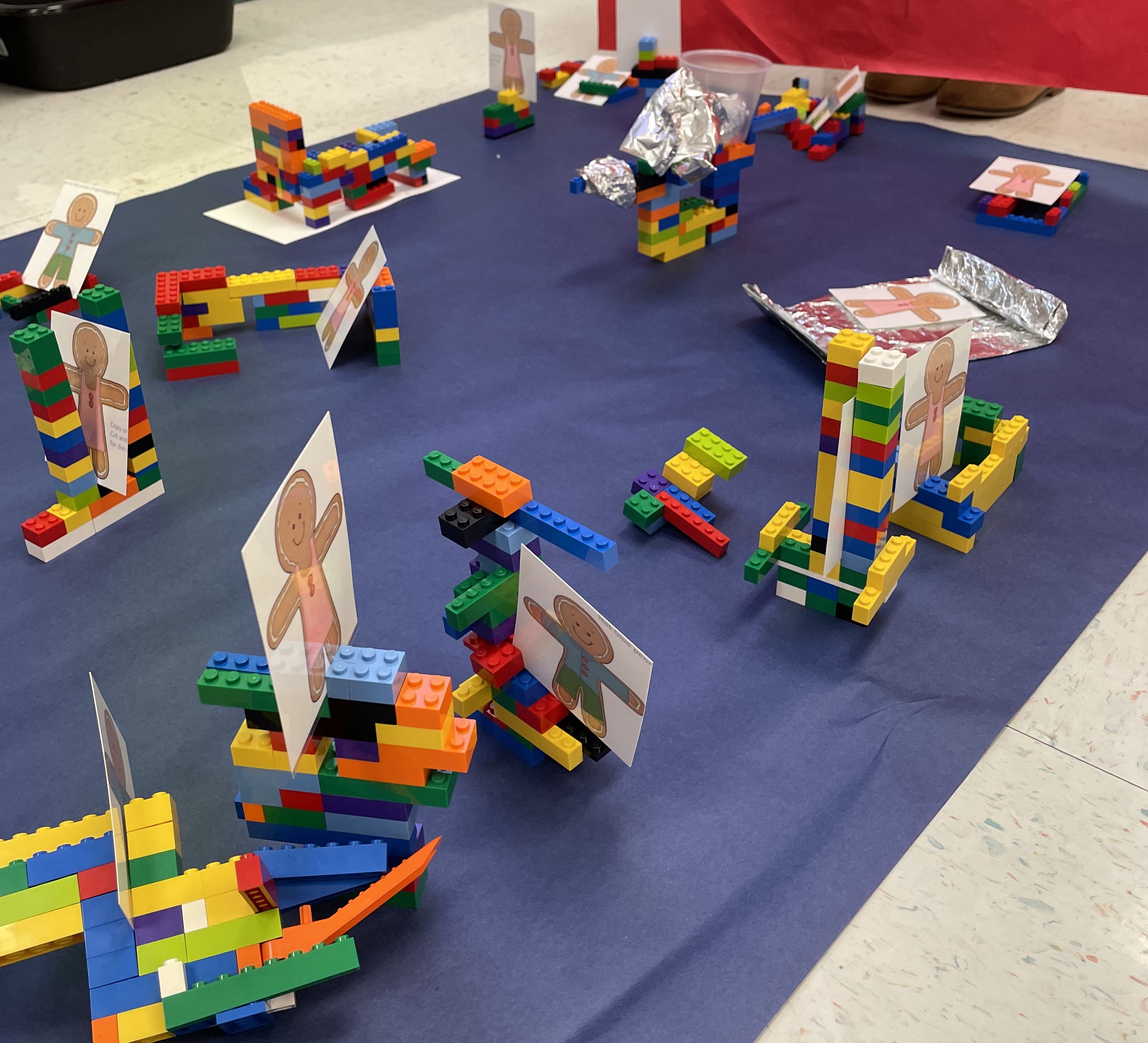 STEM project