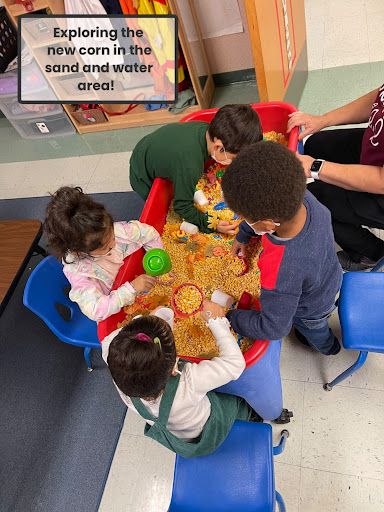 Pre-k Students exploring corn