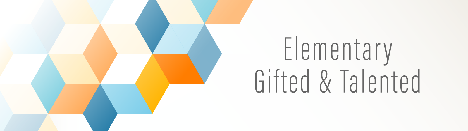 GT Elementary Banner
