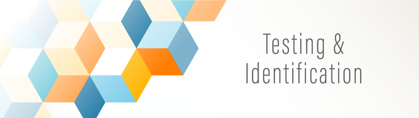 Testing & Identification Banner