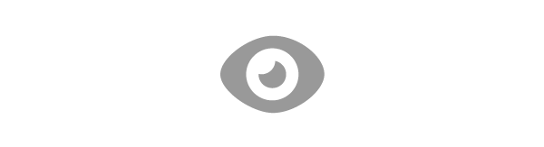 Vision icon