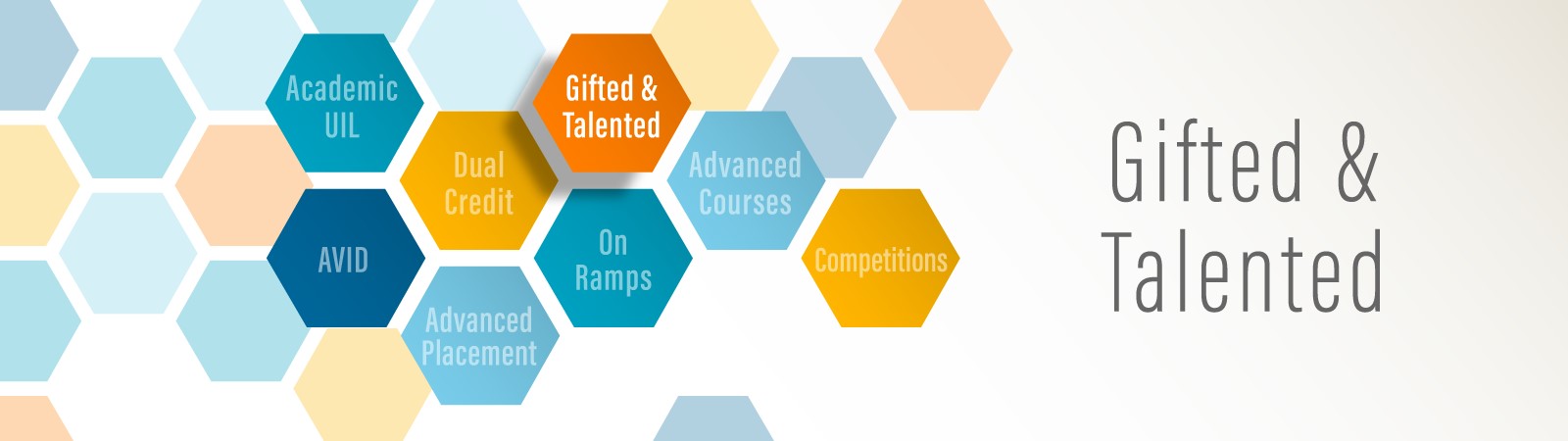Gifted & Talented Banner