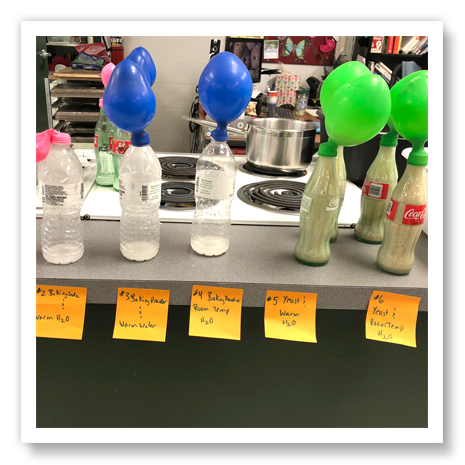 Food Science Experiment
