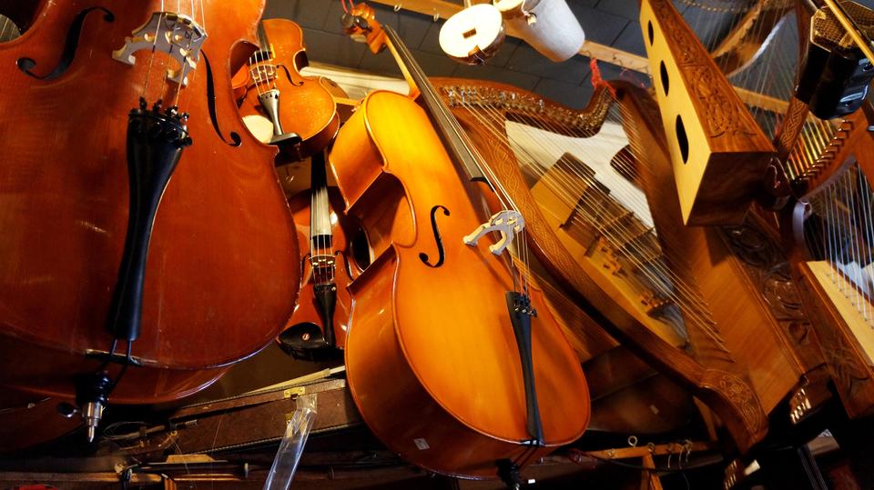 Portrait of string instruments