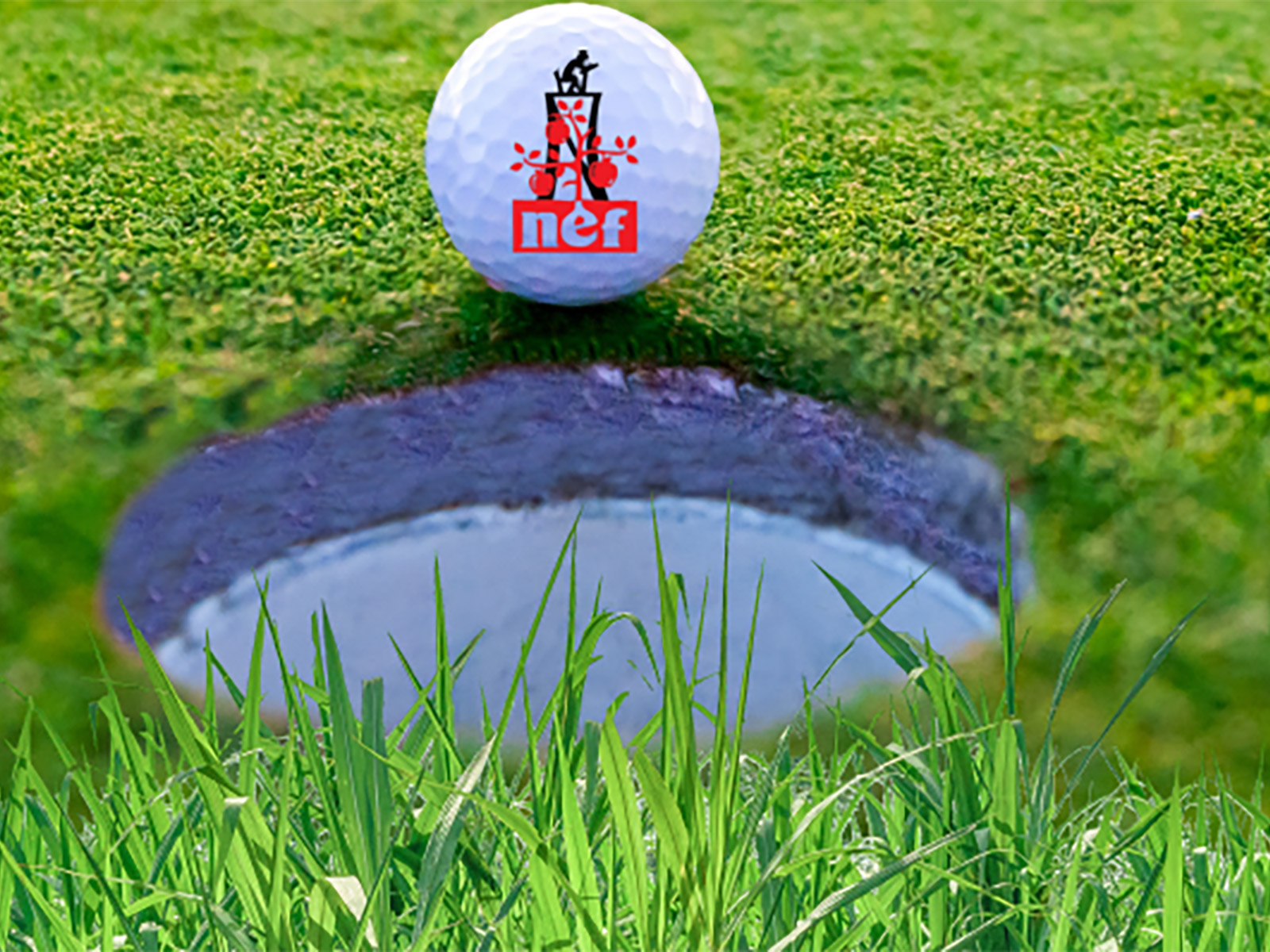 NEF Golf Tourney