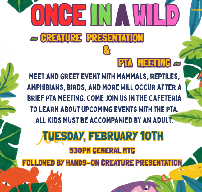 once in a wild flyer