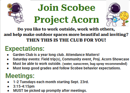 Project acorn flyer