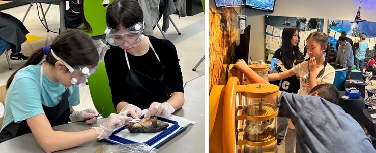 7th Grade Scientists