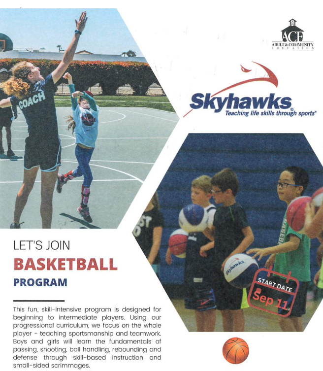 Skyhawks Flyer