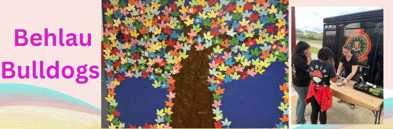 Behlau tree and pic of students during steam night at Behlau