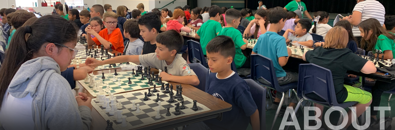 Groups of students playing chess