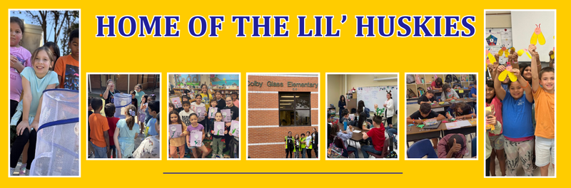 pictures showing student and staff involvement