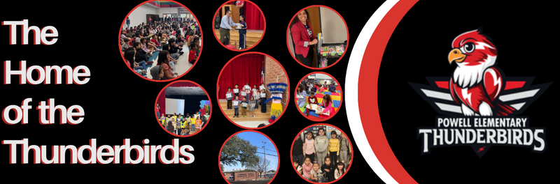 Images of student and staff involvement 