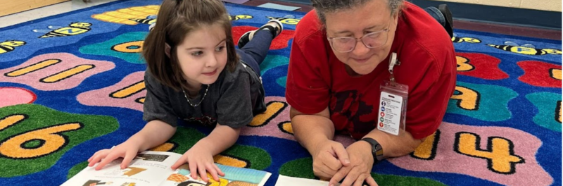 Librarian reads Book  