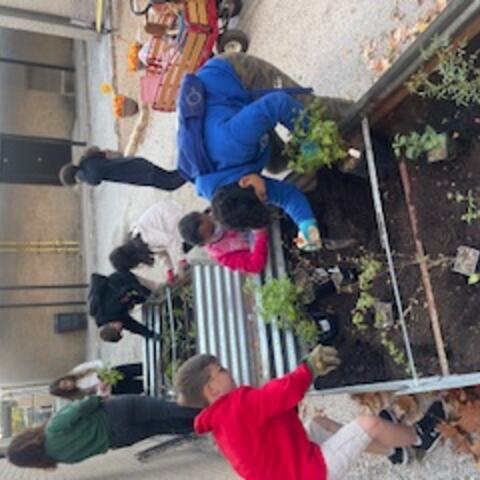 Cody Garden Club