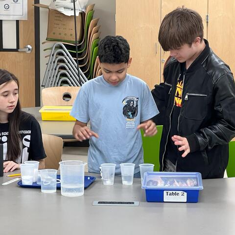 Seventh grade science students explored solutions and solvents in a classroom lab activity.