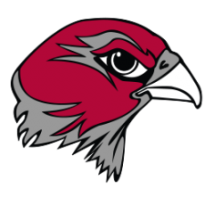 Falcon side profile picture