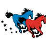 Nichols Mustangs
