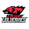 Wolverine Logo mascot of Zachry Middle School  